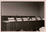 Panel 1