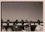 Panel 3